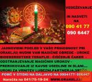 PREROKOVANJE IN POGLED V VAŠO PRIHODNOST PRI ORAKLJU