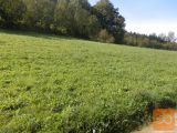 Trebnje Korenitka Zazidljiva 124 m2