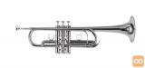 Trobenta Roy Benson Bb Tr-402Cs Pro
