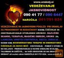 VEDEŽEVANJE JASNOVIDNOST ZA PRIHODNOST NAROČILA 041751924