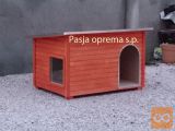 Pasja uta