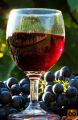 Rdeče vino