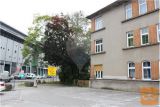 Celje Celje cener 4 in večsobno 162 m2