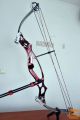 Hoyt Pro elite