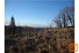 Nova Gorica Krasno Zazidljiva 1833 m2