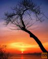 Letalske karte Istanbul za 129 EUR