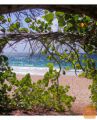Letalske karte Barbados za 625 EUR