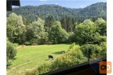 RIBNO PRI BLEDU, STANOVANJSKA HIŠA Z APARTMAJI