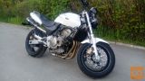 Honda Hornet