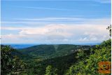 Zemljišče OSP - Delno Zazidljivo 2507 M2