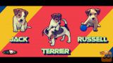 Jack Russell mladiči - najava legla /Slike+HD video/J.Russel