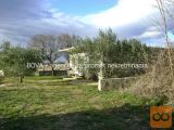 Nin Vrsi Samostojna 93 m2