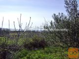 Nin Vrsi Zazidljiva 322 m2