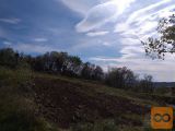 Komen Kobdilj Zazidljiva 1734 m2
