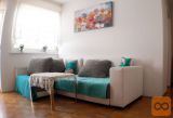 Moste-Polje Polje 1,5-sobno 40,10 m2