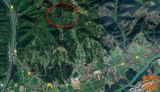 Selnica ob Dravi 71407 m2