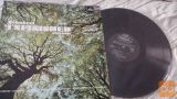 unfinished symphony franc schubert tscaikovsky vinil lp
