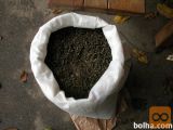 Konopljine tropine