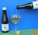 Kombuča (kombucha)- lipa